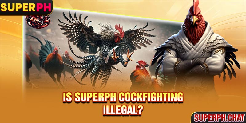 Is Superph Cockfighting illegal?